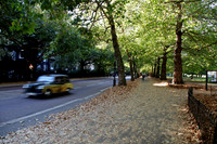 Birdcage walk in autumn