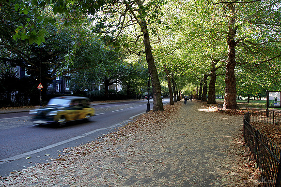 Birdcage walk in autumn
