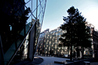 Gherkin