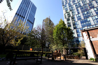 A small park in the City