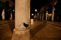 Graffiti